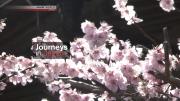 [NHK]《日本之旅 Journeys in Japan》全10集 720P 英文字幕 百度网盘