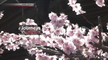 [NHK]《日本之旅 Journeys in Japan》全10集 720P 英文字幕 百度网盘