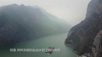 央视 |《巴盐》全3集 1080P 无台标