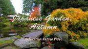 4K | 日本花园 — 秋天 极清视频 59分钟