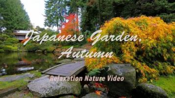 4K | 日本花园 — 秋天 极清视频 59分钟