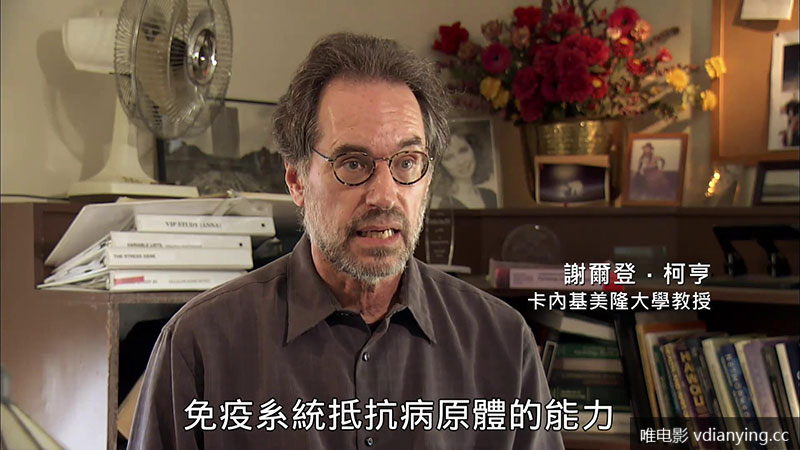 NHK纪录片《压力杀人真相》剧照