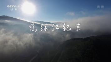 央视《鸭绿江纪事》全5集 超清1080P录制版