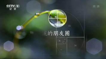 央视《一条溪流的朋友圈》全2集 高清1080P