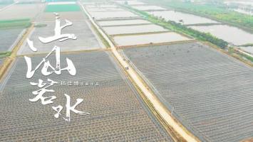 潮汕美食纪录短片 《上汕若水》