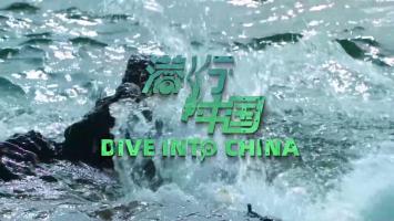 QY 《Q行中国》全3集 1080P