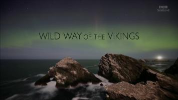 BBC《维京人：狂野之路》全1集 1080P 外挂中文字幕*