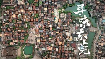 GDTV《寻味DG》全3集 4K 2160P互联网版本