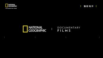 NG《魅影海洋》全1集 高清1080P