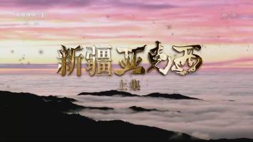 央视《新疆·亚克西》全2集 1080P标准版