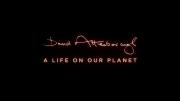 NETFLIX 《大卫·爱登堡：地球上的一段生命旅程》 高清 4K 多种版本