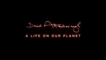 NETFLIX 《大卫·爱登堡：地球上的一段生命旅程》 高清 4K 多种版本