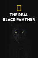 国家地理 真黑豹无双 The Real Black Panther 高清1080P片源