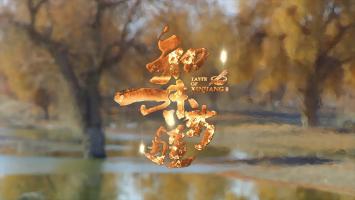 TX《知味新J》全10集