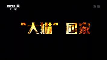 《“大猫”回家》全1集 高清纪录片
