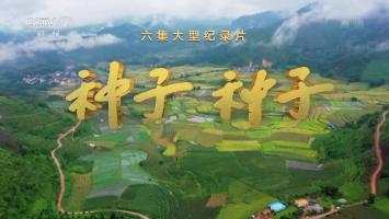 央视《种子种子(2022)》全6集  1080P