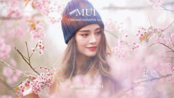 唯美短片《梅-开花》超高清4K 高码率